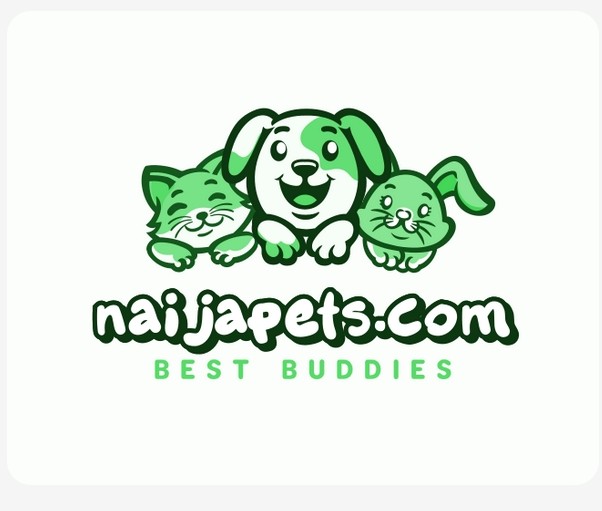 Android App